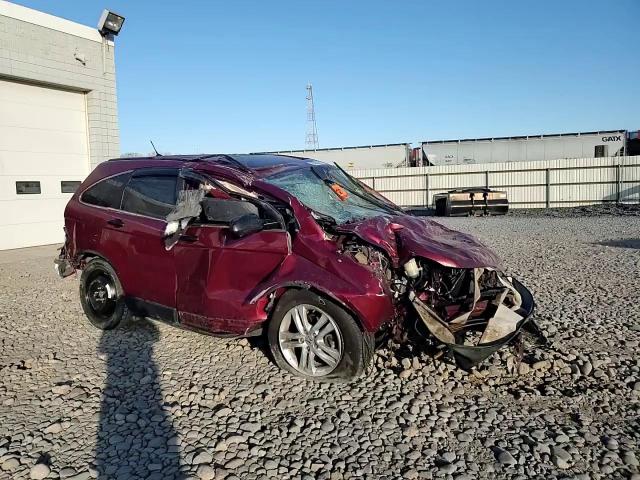 2010 Honda Cr-V Ex VIN: 5J6RE4H53AL064317 Lot: 93929215
