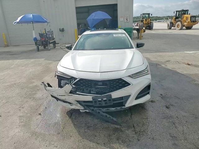 2021 Acura Tlx Technology VIN: 19UUB6F44MA001646 Lot: 92085785