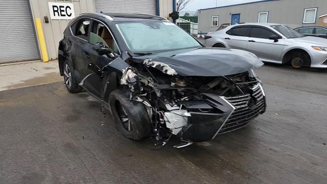 2020 Lexus Nx 300 VIN: JTJGARDZ3L5005156 Lot: 91799915