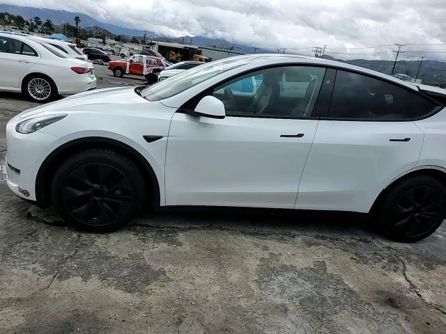2024 Tesla Model Y VIN: 7SAYGAEE6RF169305 Lot: 93116245
