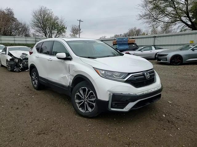 2022 Honda Cr-V Exl VIN: 7FARW2H83NE004908 Lot: 91973745