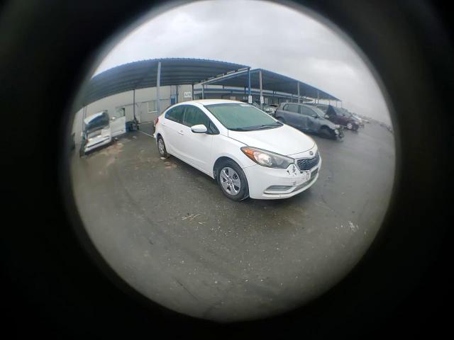 2014 Kia Forte Lx VIN: KNAFK4A63E5056374 Lot: 93654985