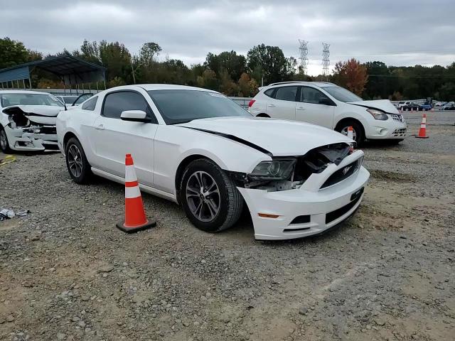 2013 Ford Mustang VIN: 1ZVBP8AM9D5253683 Lot: 91295005