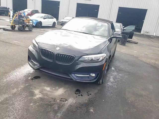 2017 BMW 230I VIN: WBA2K9C52HV646909 Lot: 94172945
