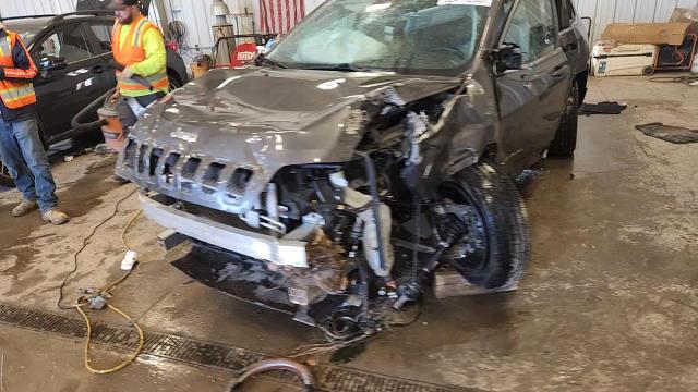 2019 Jeep Cherokee Limited VIN: 1C4PJMDN5KD356531 Lot: 92411265