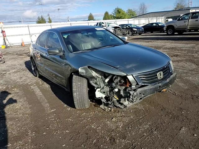 2010 Honda Accord Exl VIN: 1HGCP3F84AA028193 Lot: 94593705