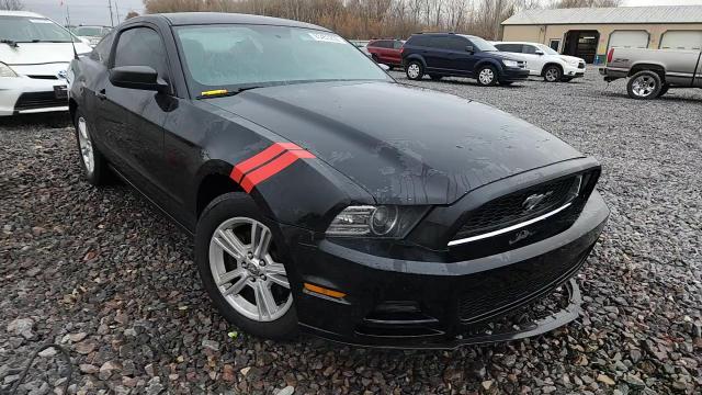 2013 Ford Mustang VIN: 1ZVBP8AM7D5229768 Lot: 93453255