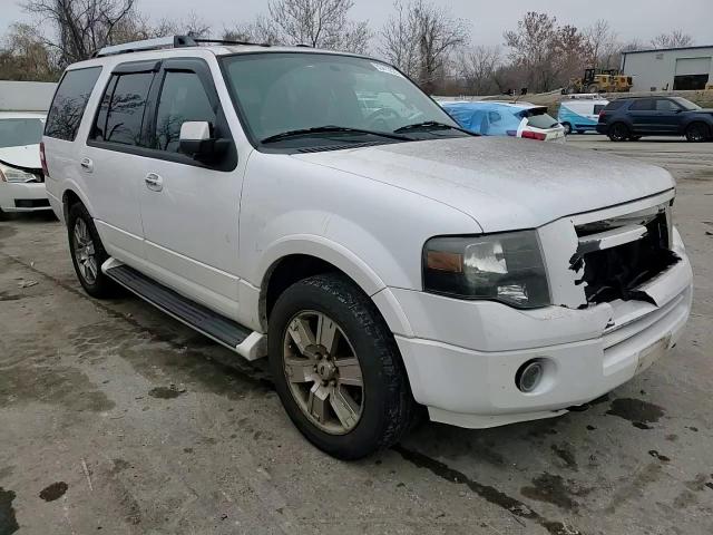 2009 Ford Expedition Limited VIN: 1FMFU20599EB20560 Lot: 93413525