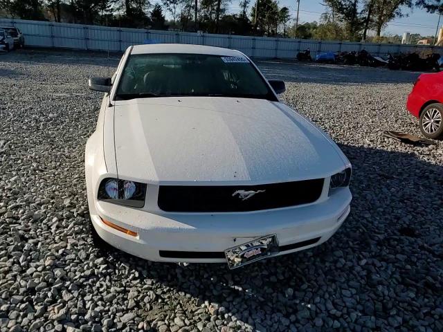2006 Ford Mustang VIN: 1ZVFT80N065210103 Lot: 93942455
