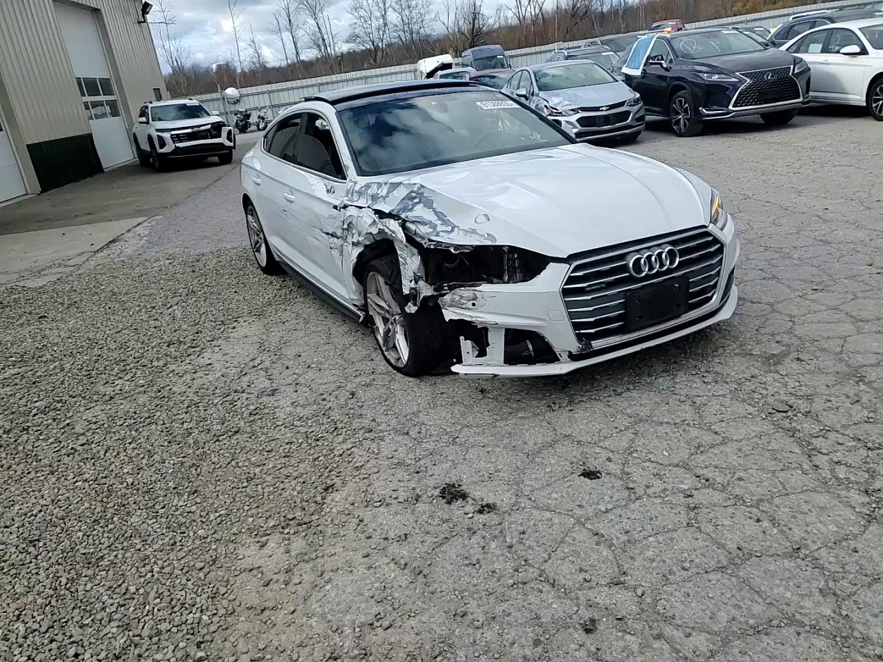 Фото: WAUENCF55KA017480