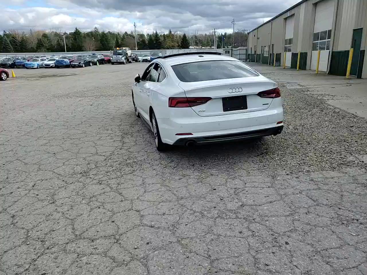 Фото: WAUENCF55KA017480