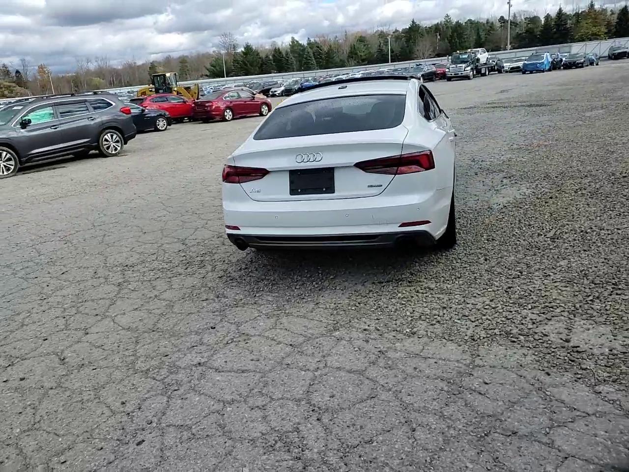 Фото: WAUENCF55KA017480