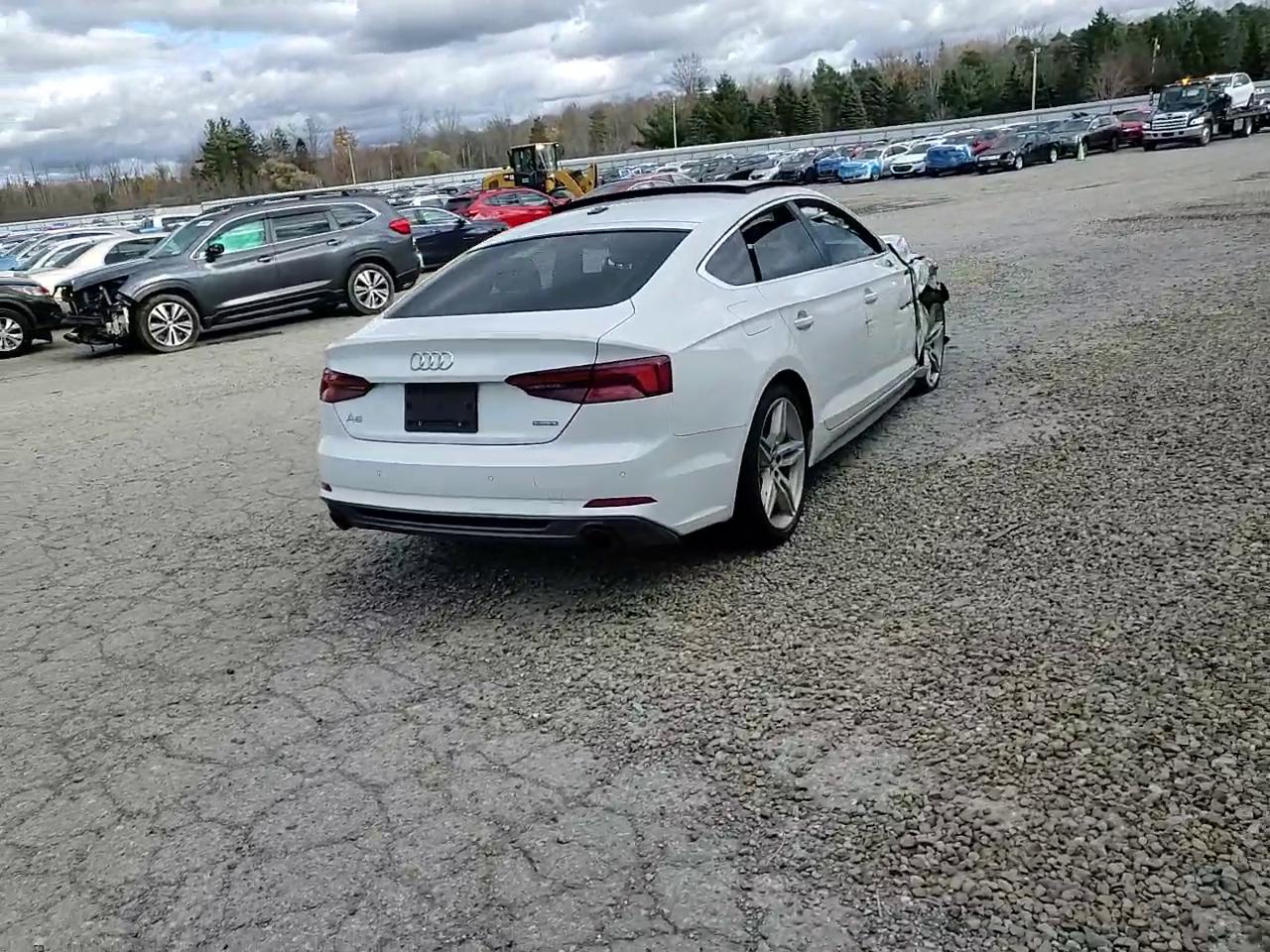 Фото: WAUENCF55KA017480