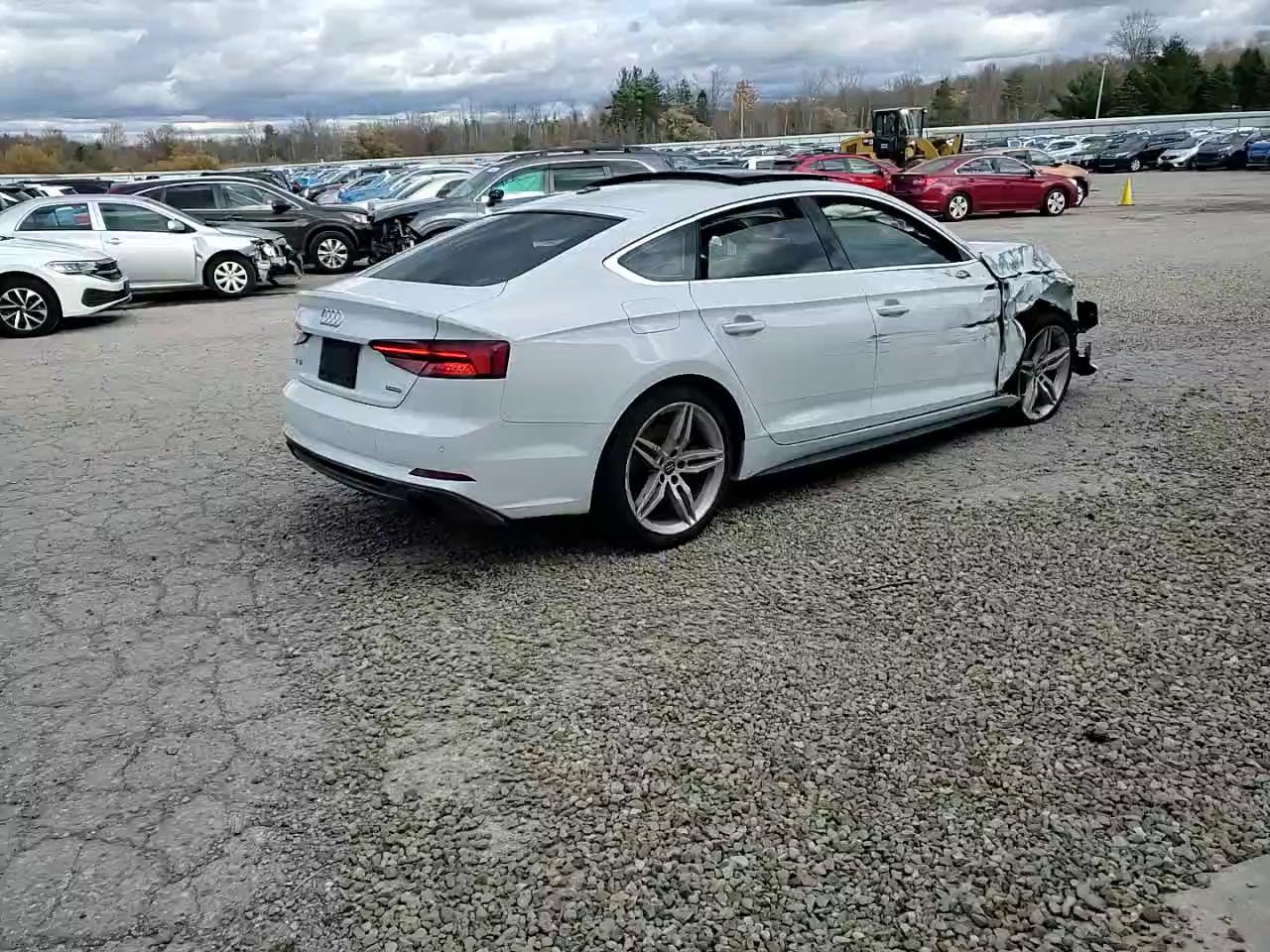 Фото: WAUENCF55KA017480