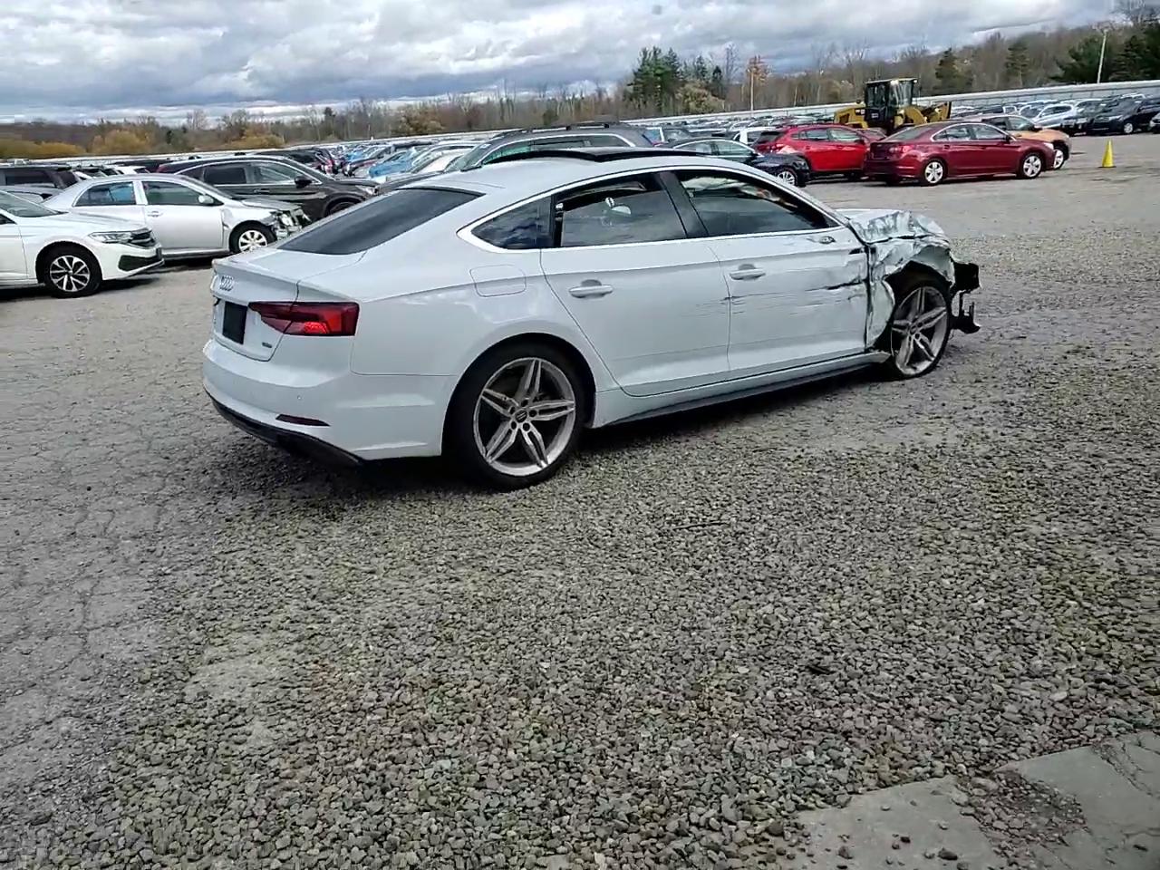 Фото: WAUENCF55KA017480