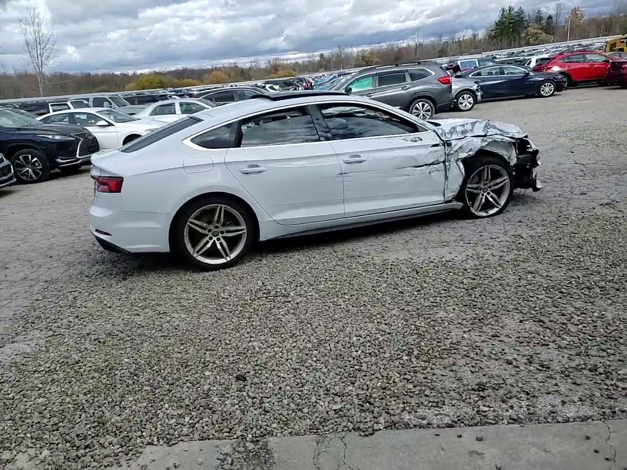 Фото: WAUENCF55KA017480