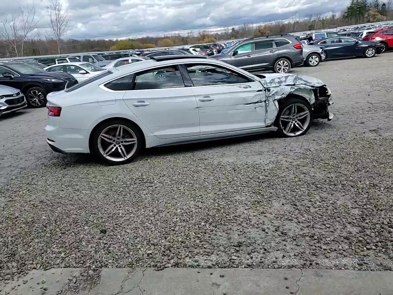 Фото: WAUENCF55KA017480