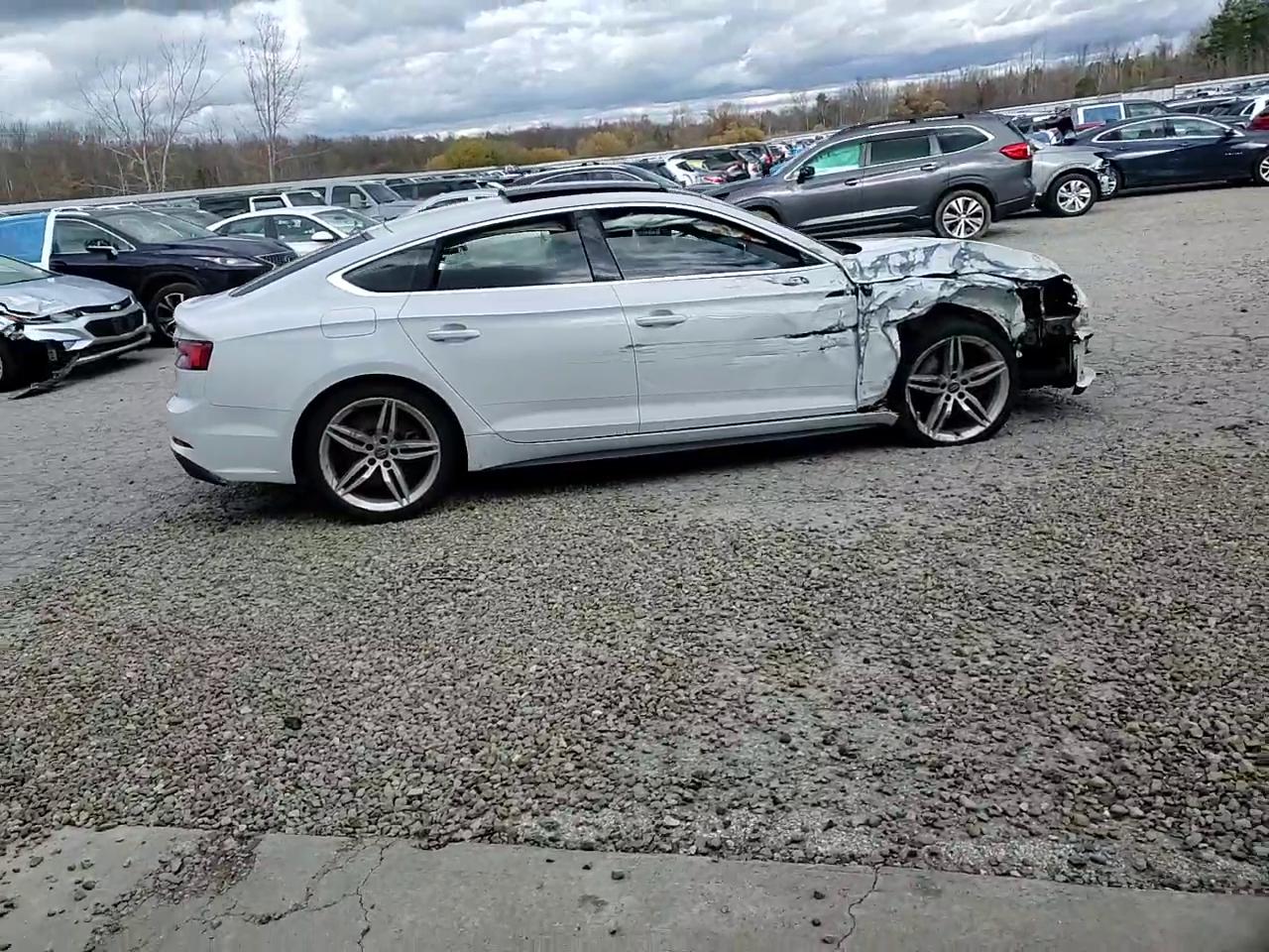 Фото: WAUENCF55KA017480