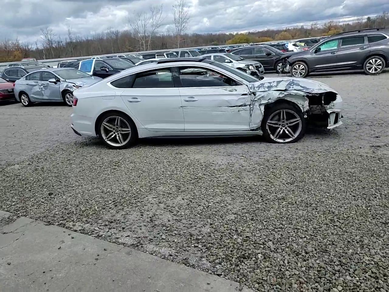 Фото: WAUENCF55KA017480