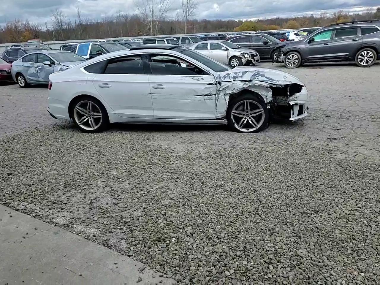 Фото: WAUENCF55KA017480