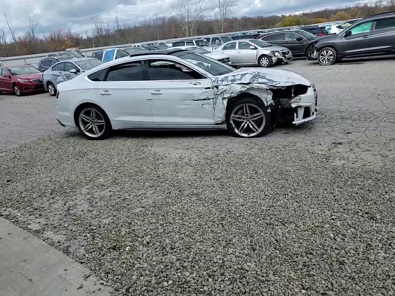 Фото: WAUENCF55KA017480