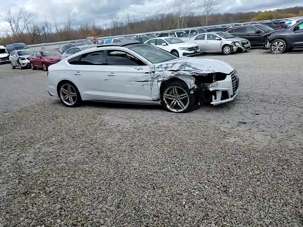 Фото: WAUENCF55KA017480