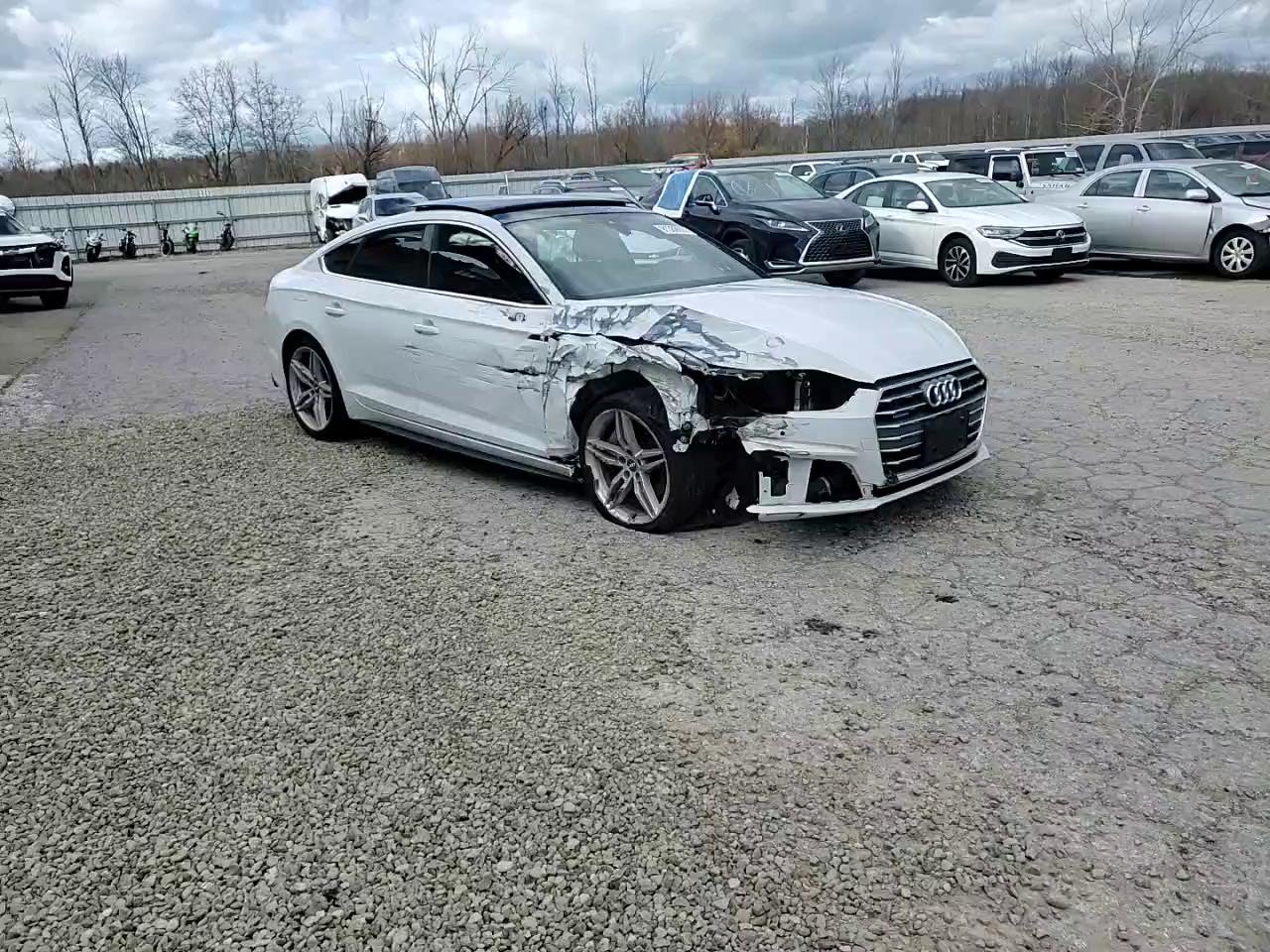 Фото: WAUENCF55KA017480