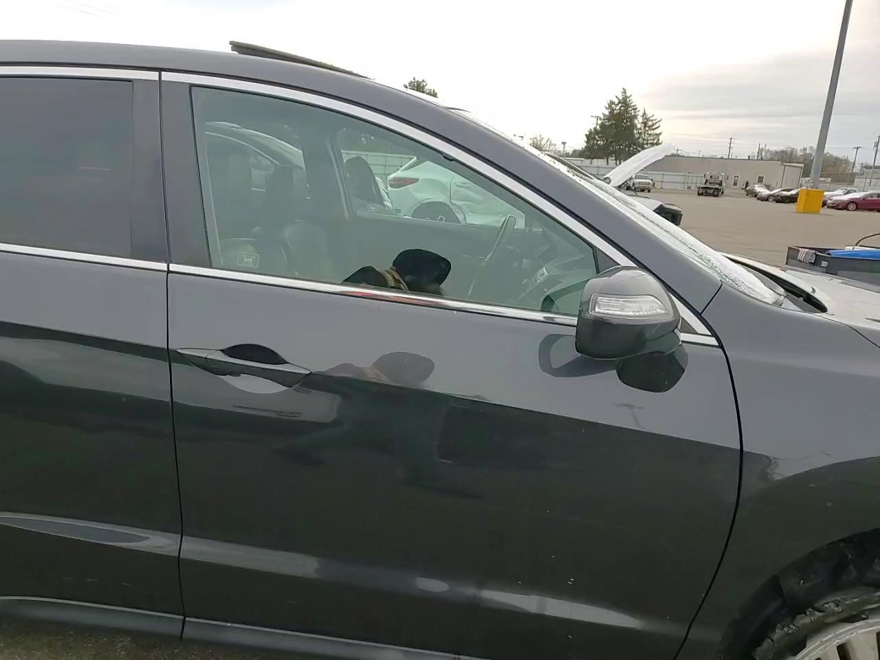 Фото: 5J8TB3H3XDL017353