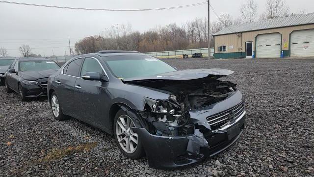 2009 Nissan Maxima S VIN: 1N4AA51E99C815677 Lot: 93363495