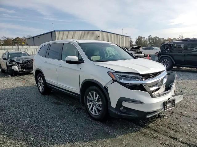 2020 Honda Pilot Exl VIN: 5FNYF5H53LB010154 Lot: 91321545