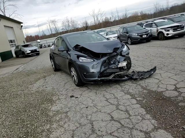 2023 Tesla Model Y VIN: 7SAYGDEE5PF768081 Lot: 90920385