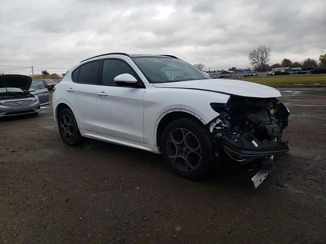 2020 Alfa Romeo Stelvio VIN: ZASPAKAN7L7C84666 Lot: 92021605