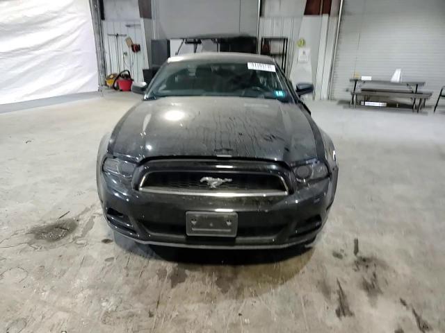 2014 Ford Mustang VIN: 1ZVBP8AM8E5314135 Lot: 94193745