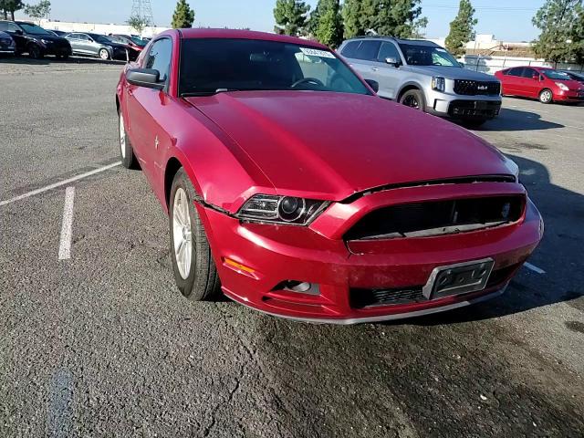 2013 Ford Mustang VIN: 1ZVBP8AM2D5246512 Lot: 93641875