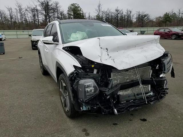 2024 Hyundai Tucson Limited VIN: 5NMJECDE8RH366346 Lot: 93559115