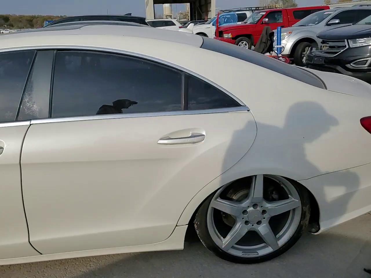 Фото: WDDLJ7DB6EA131116