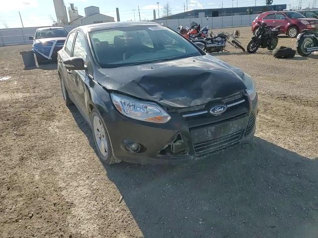 2013 Ford Focus Se VIN: 1FADP3F23DL132462 Lot: 93899925
