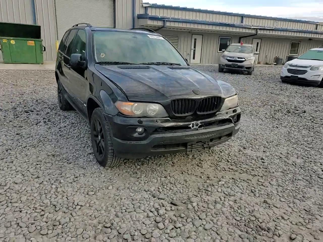 Фото: 5UXFA13514LU21488