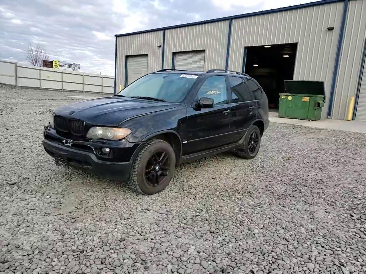 Фото: 5UXFA13514LU21488