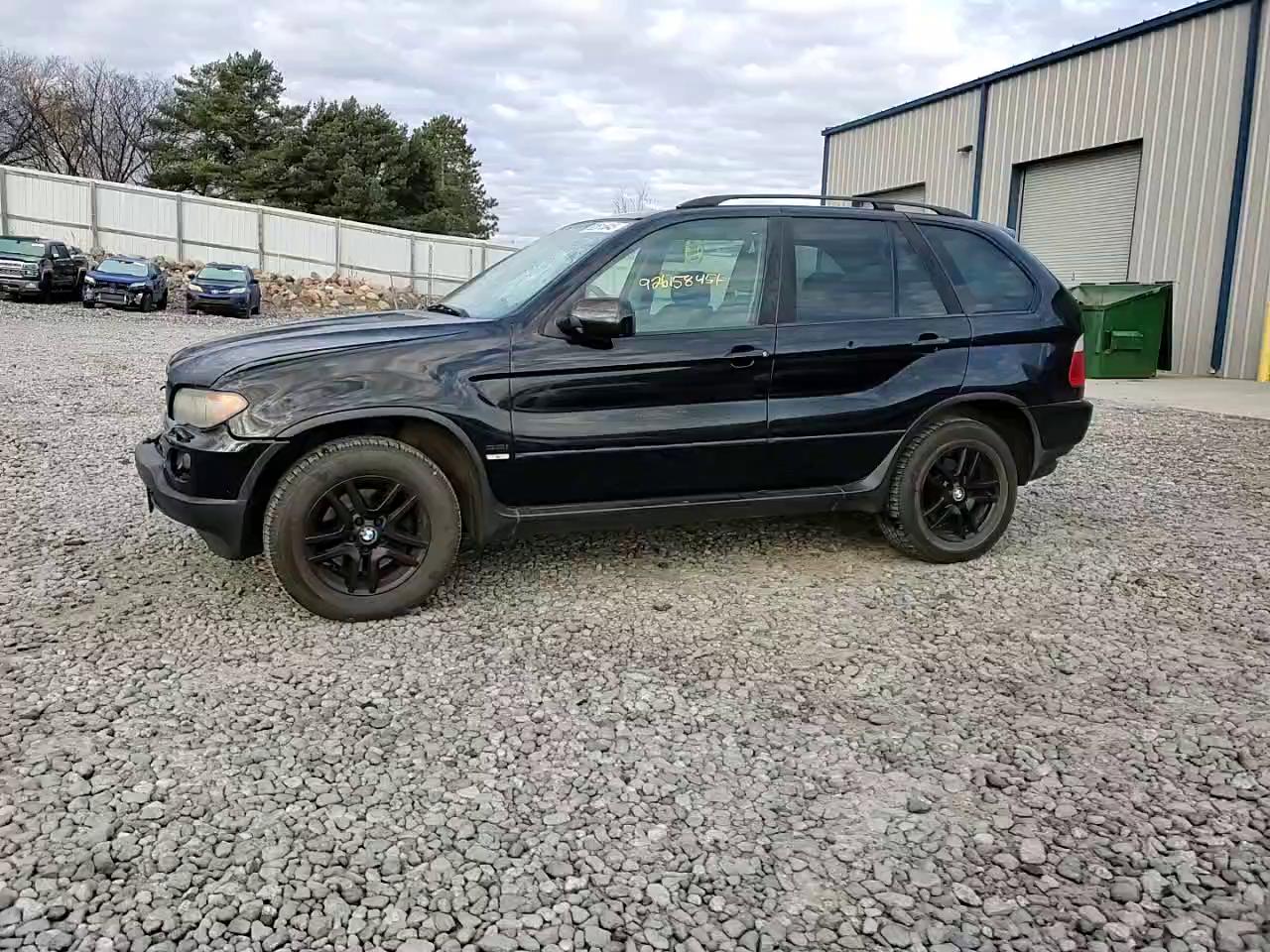 Фото: 5UXFA13514LU21488