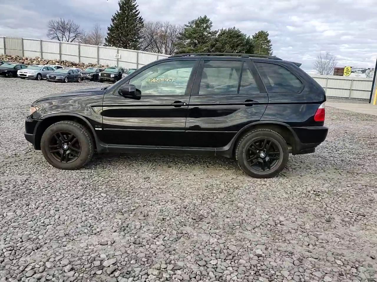 Фото: 5UXFA13514LU21488