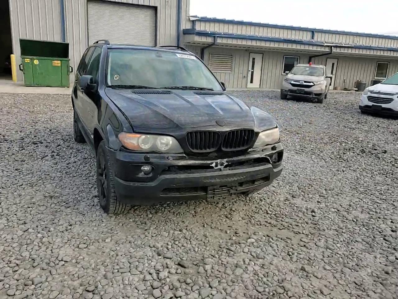 Фото: 5UXFA13514LU21488