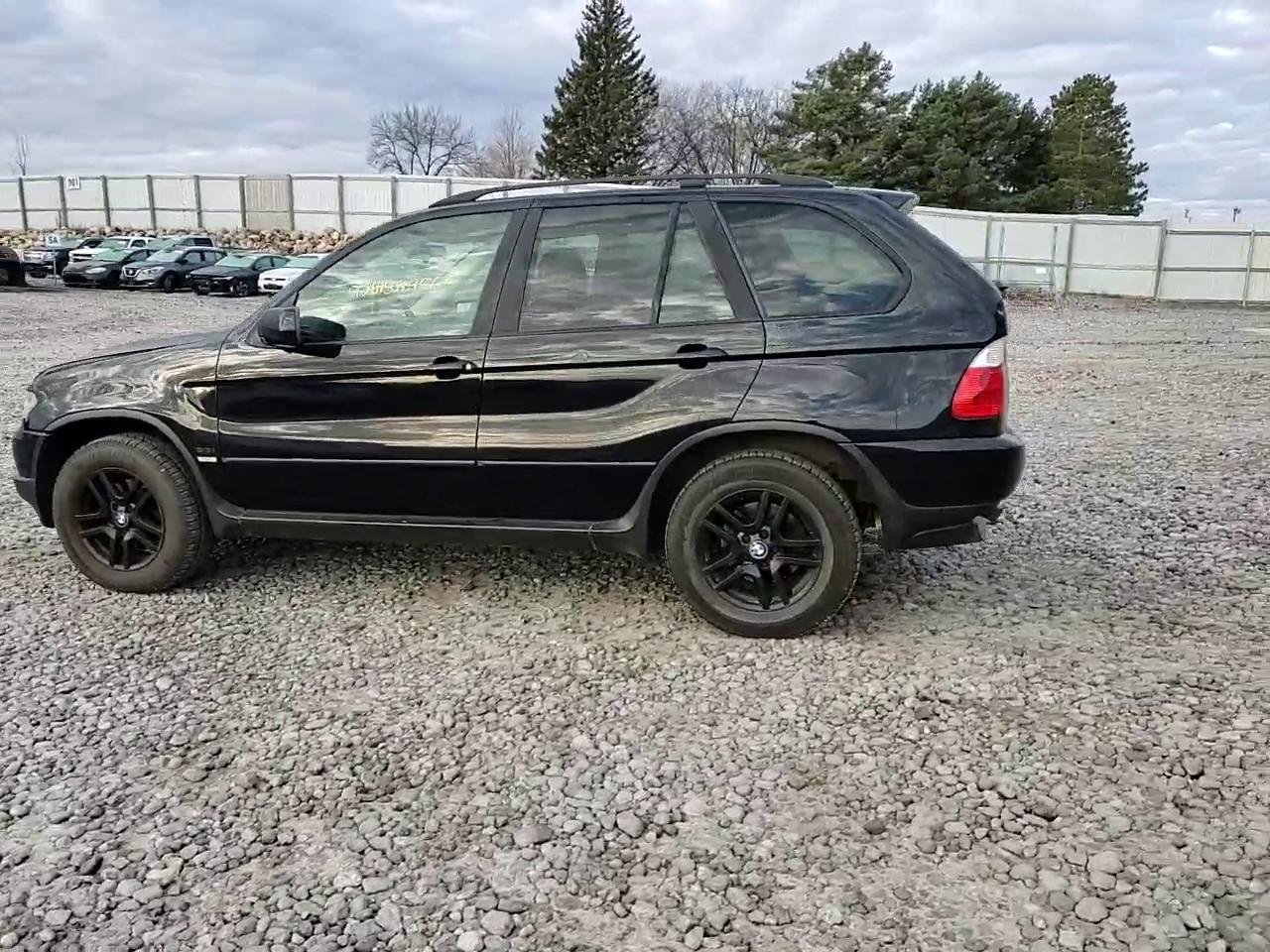 Фото: 5UXFA13514LU21488