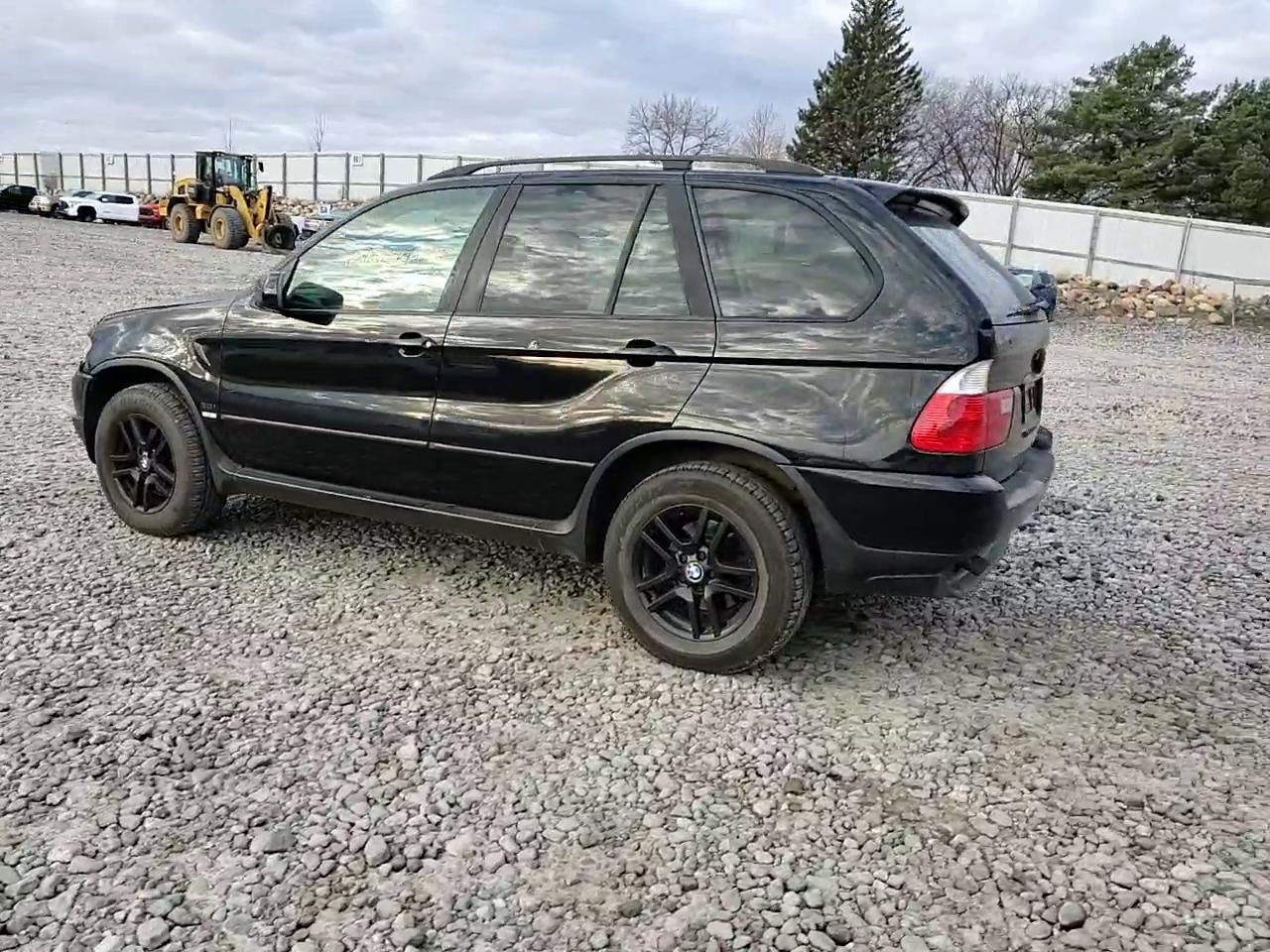 Фото: 5UXFA13514LU21488