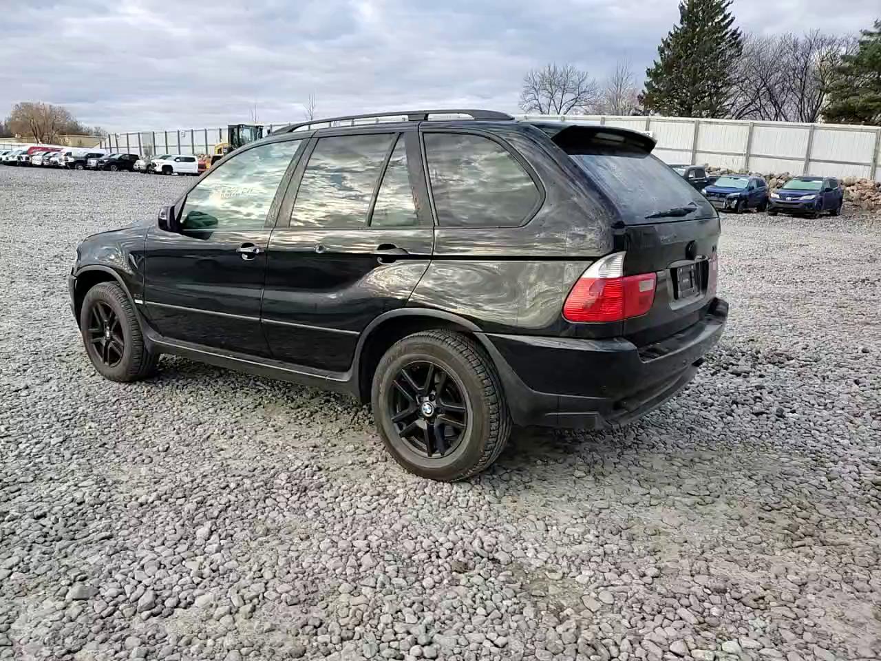 Фото: 5UXFA13514LU21488