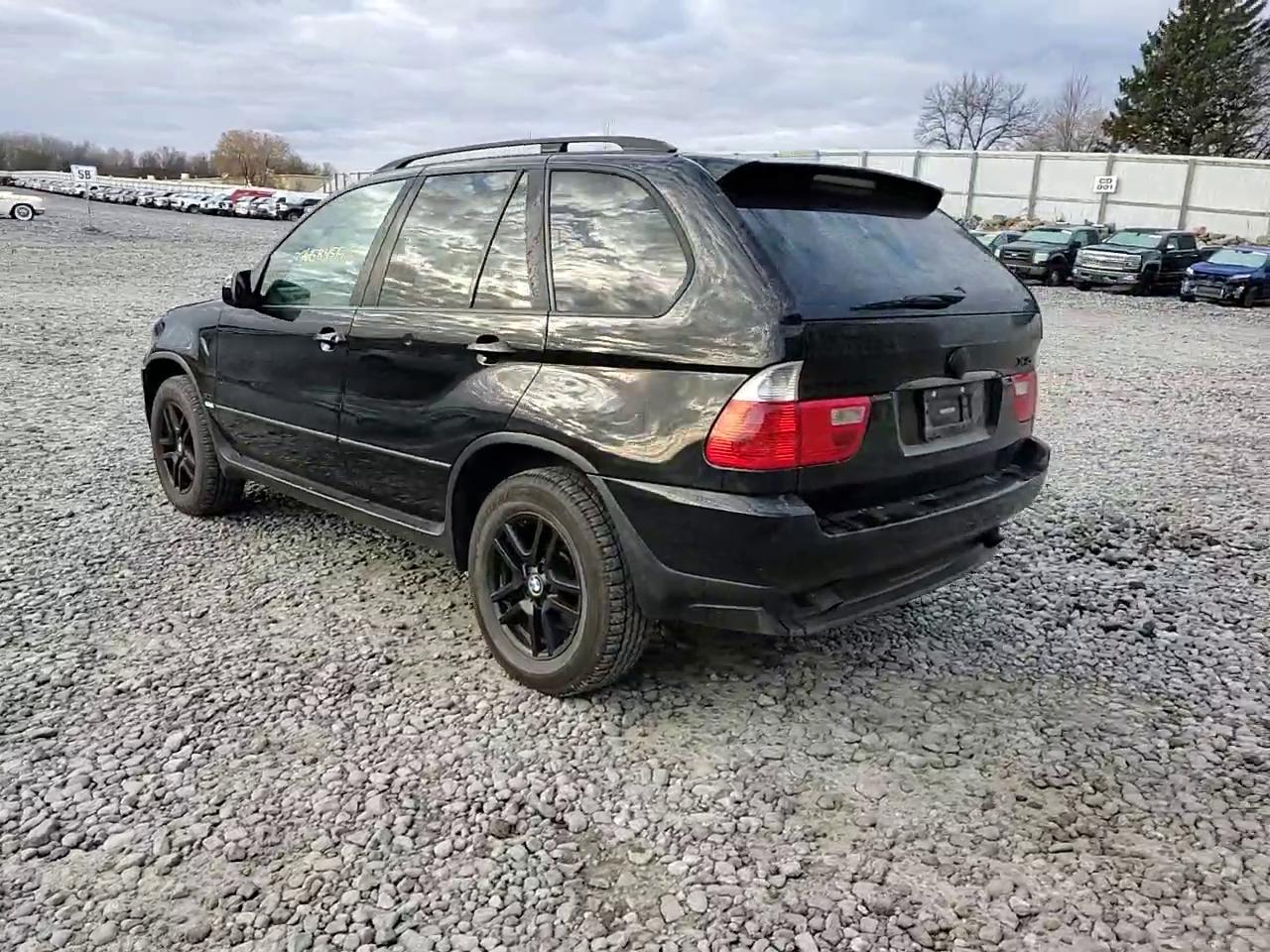 Фото: 5UXFA13514LU21488