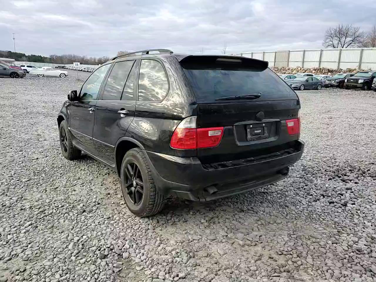 Фото: 5UXFA13514LU21488