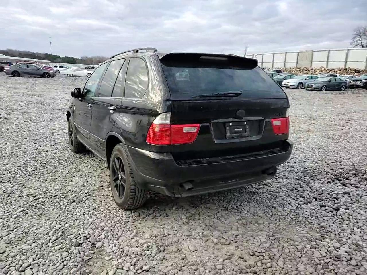 Фото: 5UXFA13514LU21488