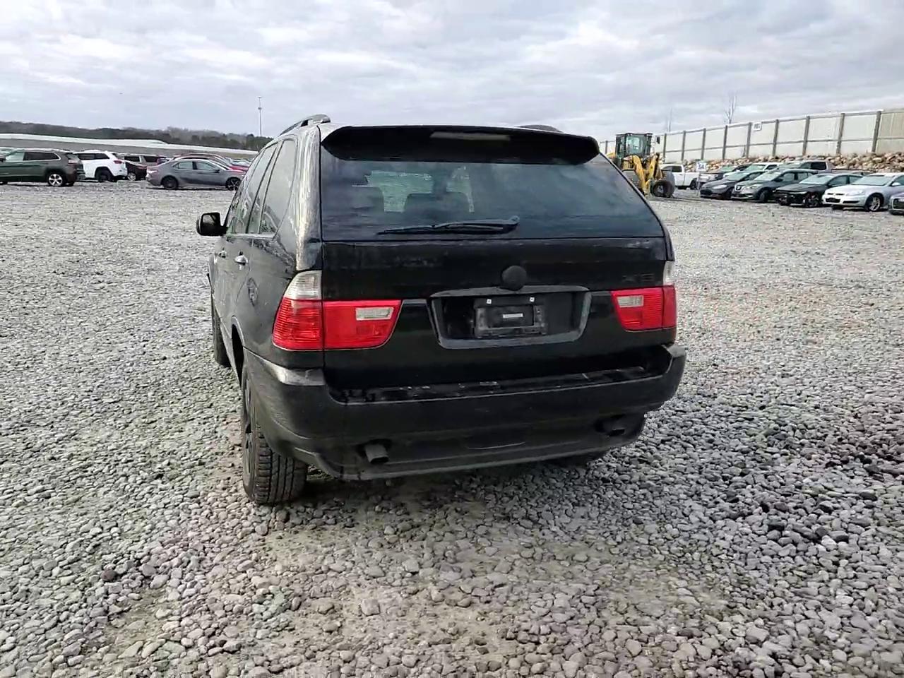 Фото: 5UXFA13514LU21488