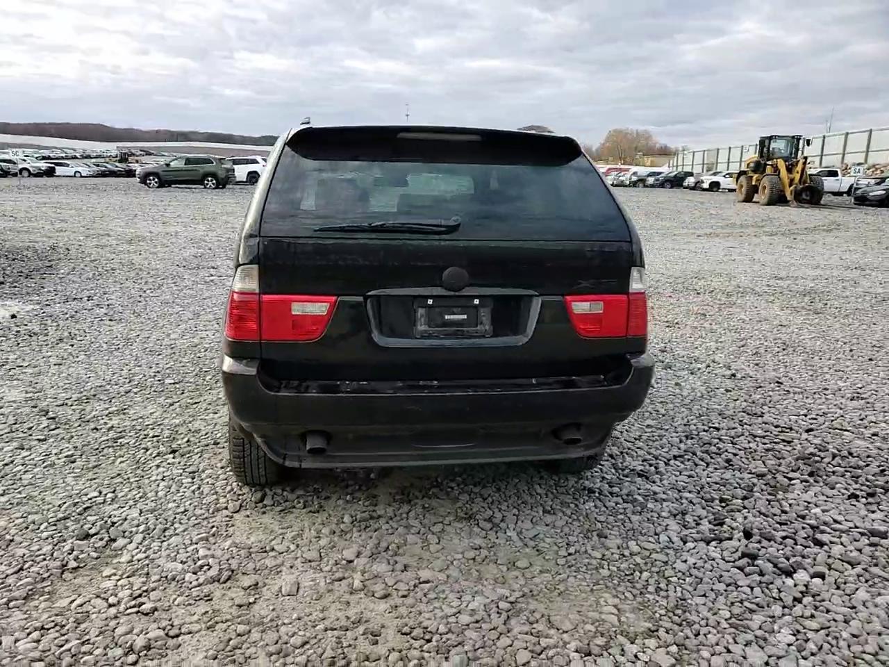 Фото: 5UXFA13514LU21488